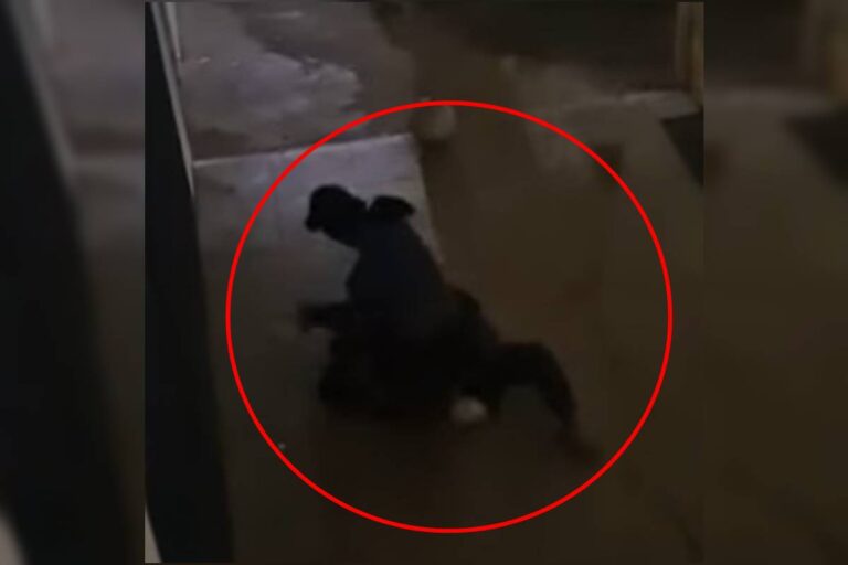 homem-em-situacao-de-rua-espanca-rival-no-“beco-do-crack”-da-asa-norte.-veja-video