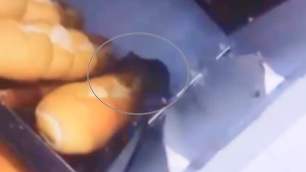 ratos-andam-“relaxados”-sobre-paes-em-padaria-de-mercado-dono-e-preso.-veja-video