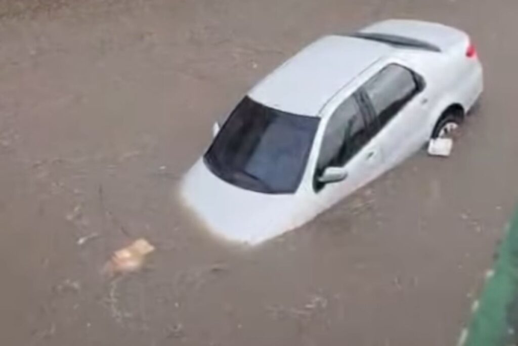 sp-tem-pontos-de-alagamento-e-queda-de-arvores-apos-chuva-forte