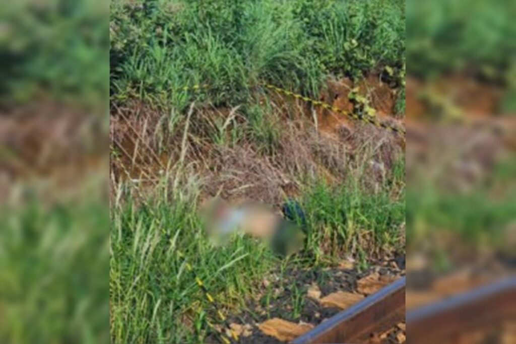 corpo-de-homem-e-encontrado-proximo-a-linha-ferrea-no-entorno-do-df