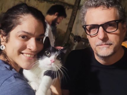 estrela-de-quatro-patas:-gata-de-“o-agente-secreto”-conquista-premio-em-nova-york