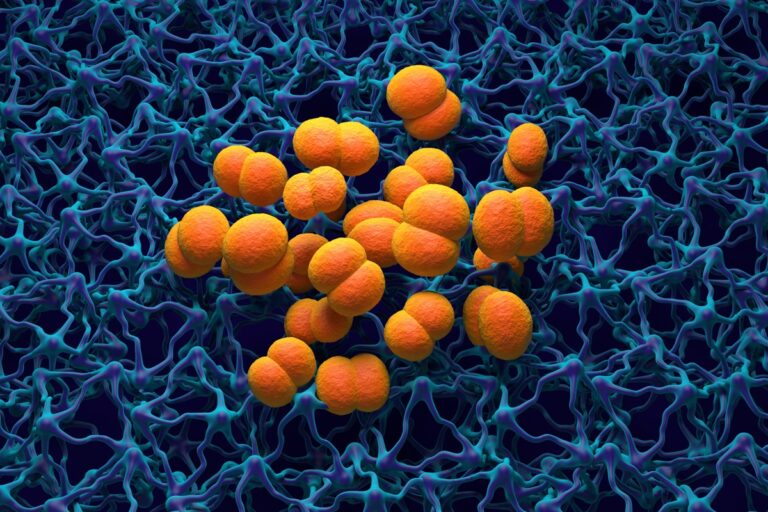 meningite:-medicos-alertam-para-os-principais-sintomas-da-doenca