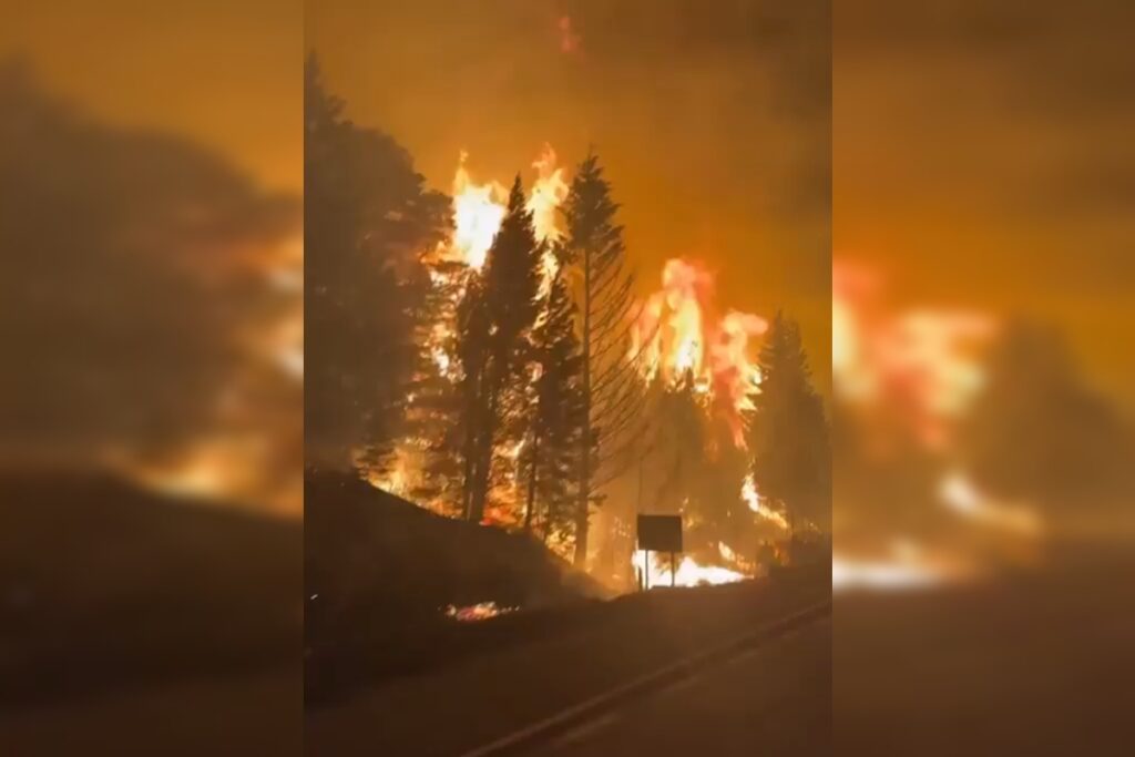 incendios-florestais-destroem-5.500-hectares-na-patagonia-argentina