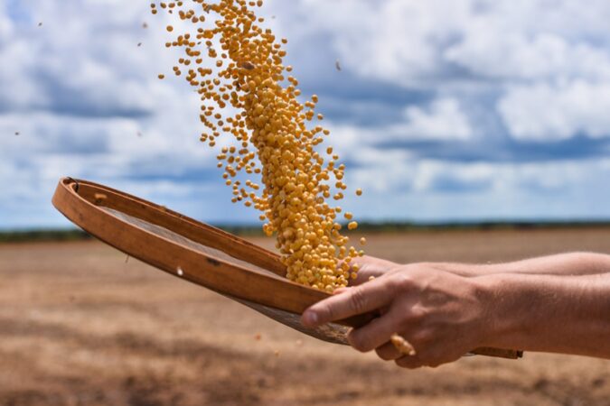 sp:-agro-fecha-ano-com-superavit-comercial.-china-e-principal-destino
