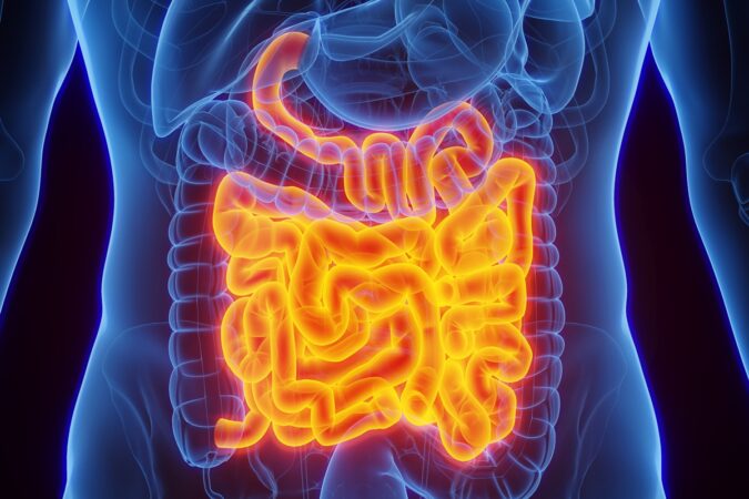 nutri-cita-alimentos-que-ajudam-a-combater-a-inflamacao-do-intestino