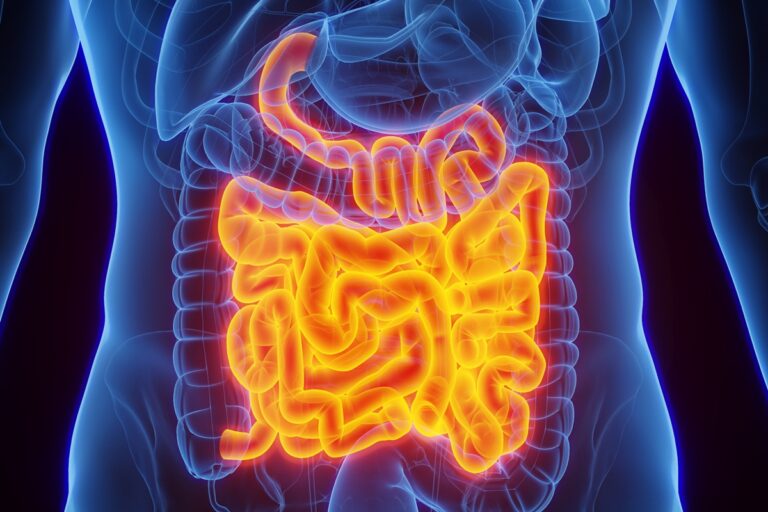 nutri-cita-alimentos-que-ajudam-a-combater-a-inflamacao-do-intestino