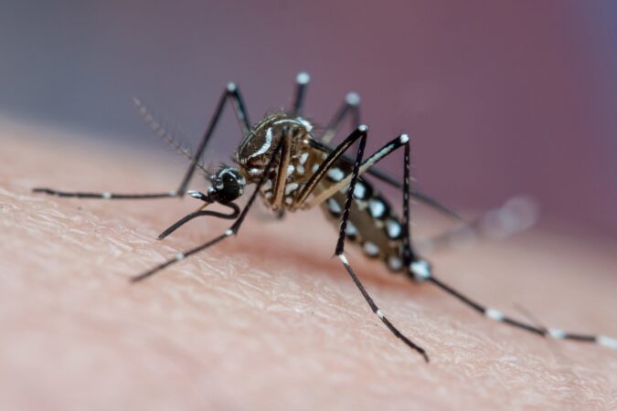 df-registra-mais-de-4-mil-casos-de-dengue-em-2025