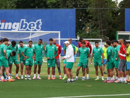 novorizontino-x-palmeiras-no-paulistao;-saiba-onde-assistir-e-provaveis-escalacoes