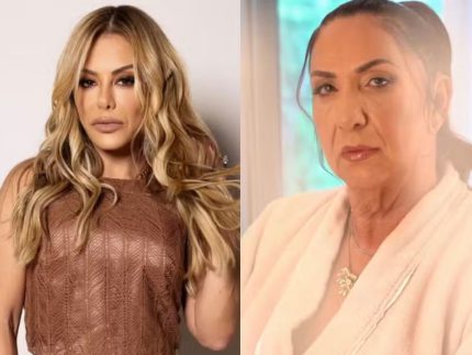 poliana-rocha-presta-apoio-a-mae-de-virginia-fonseca-apos-acidente