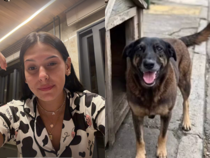 ana-castela-mostra-indignacao-com-morte-de-cao-espancado:-“coracao-tao-frio”