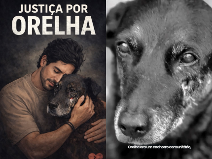 caso-orelha:-mobilizacao-nas-redes-sociais-busca-justica-e-punicao-aos-responsaveis