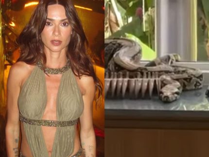 thaila-ayala-aciona-bombeiros-apos-encontrar-cobra-na-sala-de-jantar-de-casa