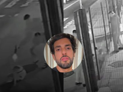 cachorro-comunitario-morre-apos-ser-baleado-com-10-tiros-na-zona-leste-de-sao-paulo