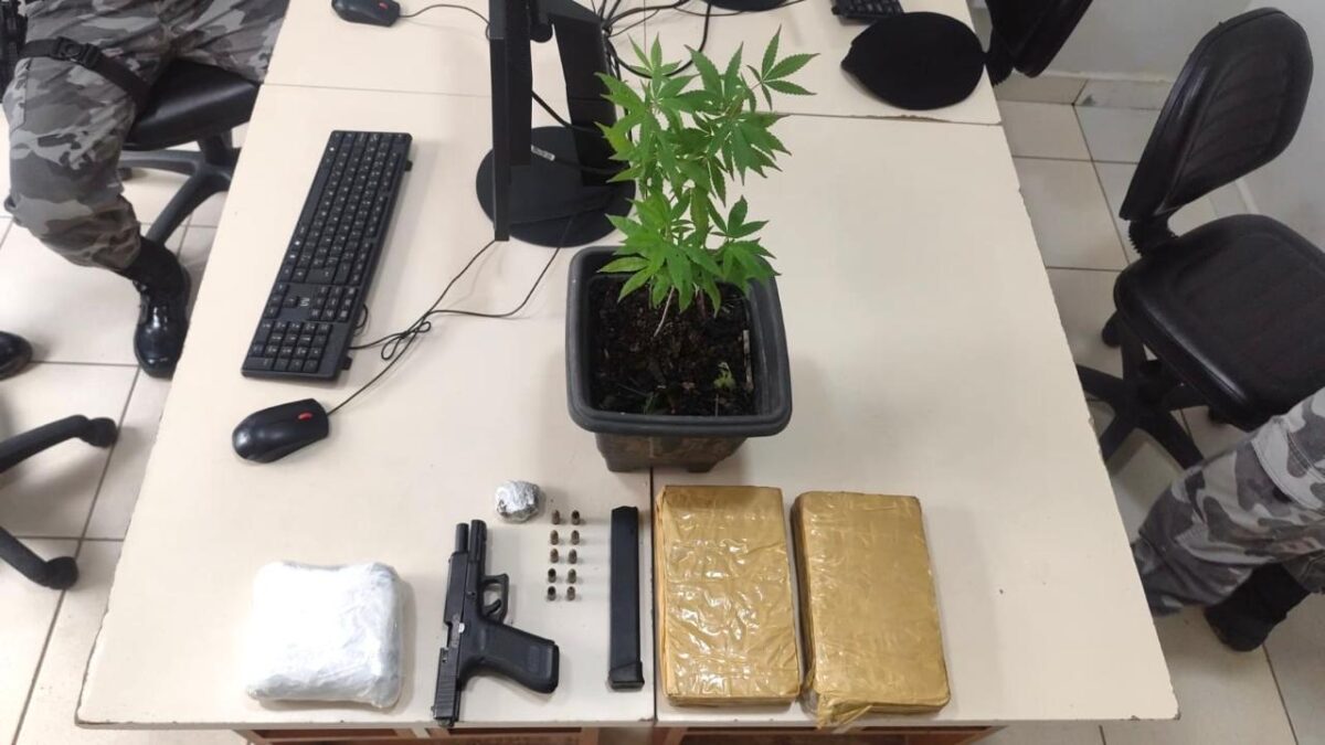 Ação rápida do GIRO resulta em apreensão de pé de maconha, drogas, arma de fogo e na prisão de um suspeito em Rio Branco