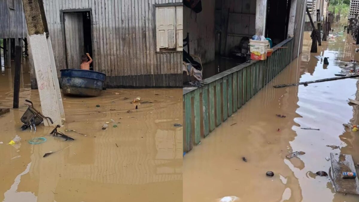 Enchente do Rio Iaco na Praia do Amarilho força moradores a deixar suas casas em Sena Madureira