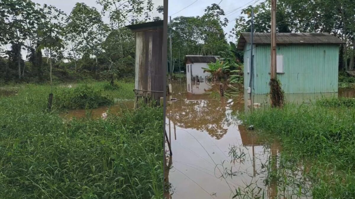 Com água avançando em áreas baixas, bairros Cafezal e Bom Sucesso começam a ser afetados em Sena Madureira
