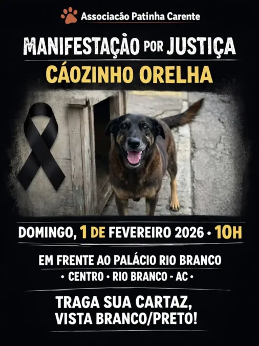 Ato em Rio Branco pede justiça por cão vítima de maus-tratos no próximo domingo