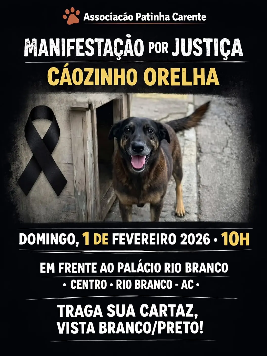 Ato em Rio Branco pede justiça por cão vítima de maus-tratos no próximo domingo