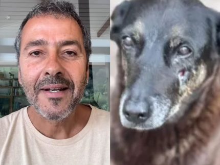 video-de-marcos-palmeira-pedindo-doacoes-por-cao-orelha-e-fake,-alerta-equipe