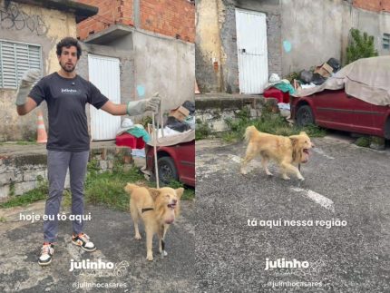 cachorro-idoso-com-tumor-na-garganta-e-resgatado-apos-ser-abandonado-em-situacao-extrema