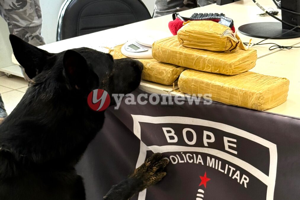 BOPE apreende quase 3.5kg de maconha com uso do cão farejador em Rio Branco