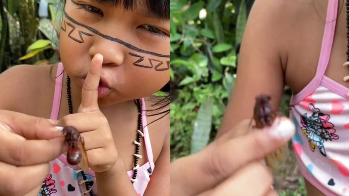 VÍDEO: Menina indígena ensina jeito certo de comer tanajura e diverte internautas