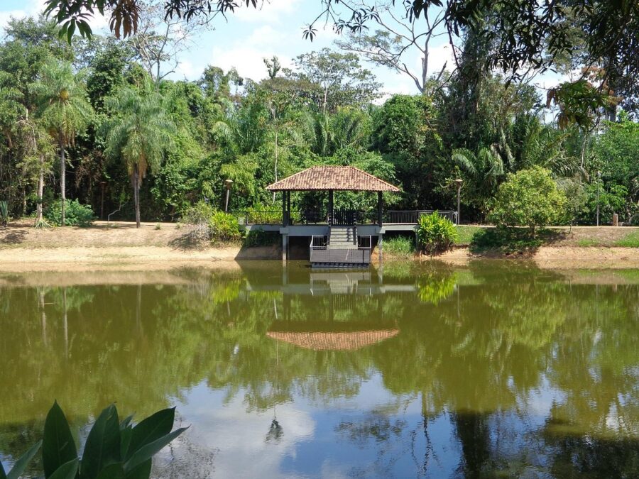 Prefeitura define regras para pets no Horto Florestal