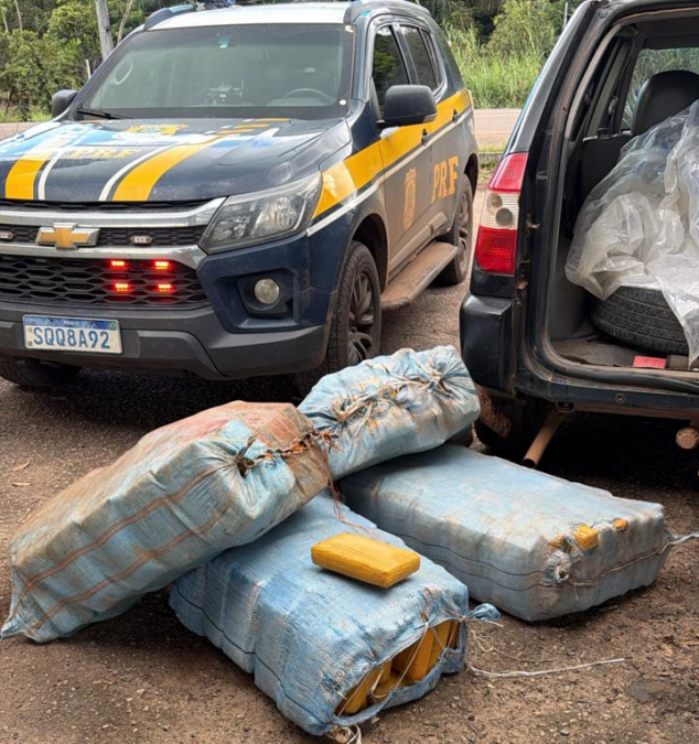 Operação apreende mais de 230 kg de skunk na BR-364