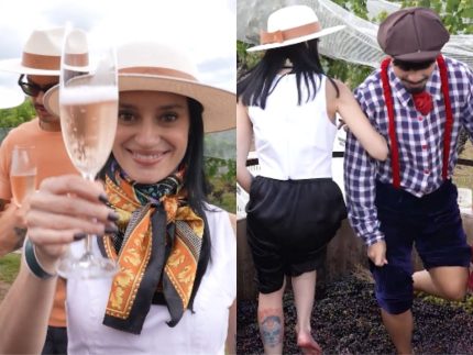 vindima-na-serra-gaucha:-saiba-como-funciona-a-primeira-colheita-de-uvas-do-ano