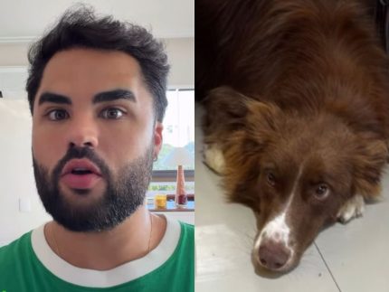 apos-ser-acusado-de-abandonar-cadela,-lucas-guedez-se-manifesta