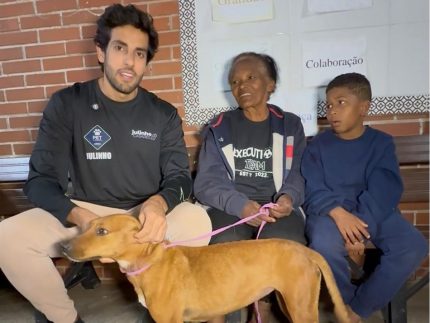 tragedia-em-juiz-de-fora-expoe-perdas-humanas-e-drama-com-animais