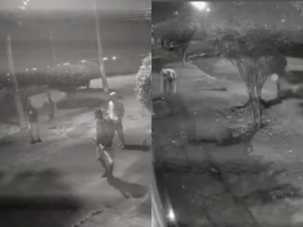 capivara-e-covardemente-atacada-por-8-homens-no-rio;-suspeitos-sao-presos