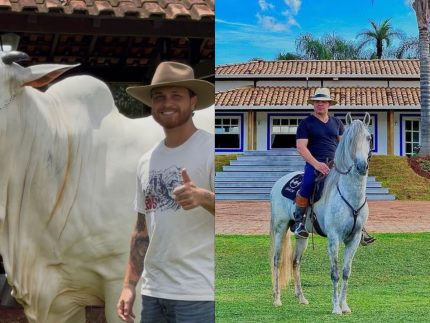 eduardo-costa-e-gustavo-tubarao-compram-vaca-de-avaliada-em-r$-2-milhoes-em-leilao