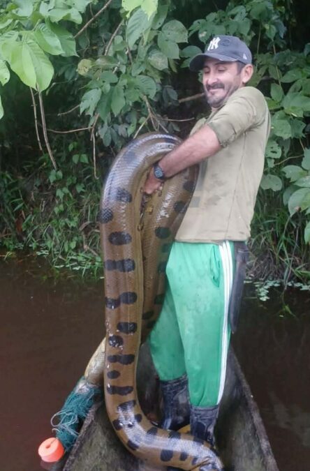 Em Santa Rosa, pescador busca Pirarucu e encontra surpresa inesperada no Lago Novo