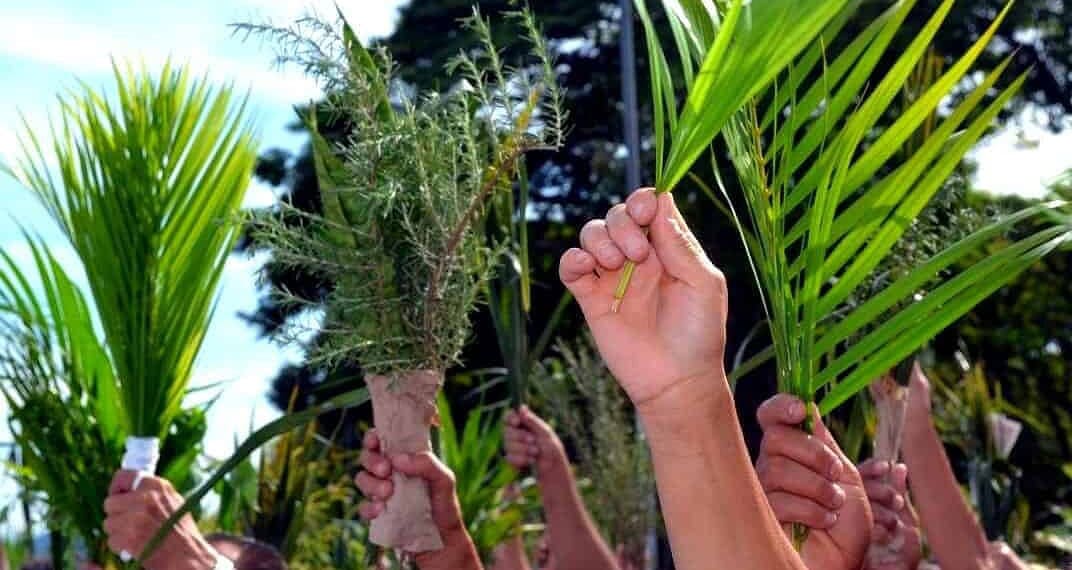 Domingo de Ramos abre Semana Santa com procissão e celebrações em Sena Madureira