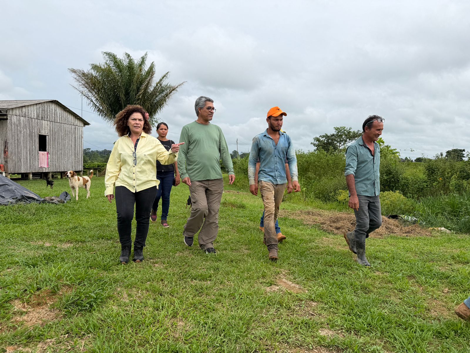 Produtores de Porto Acre ganham autonomia com implantação de mini-indústria de café