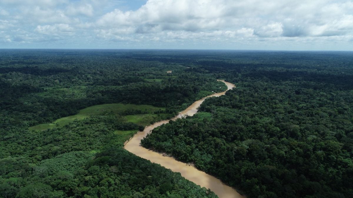Acre ganha destaque internacional por políticas que reduzem desmatamento