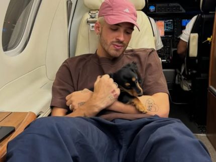 joao-guilherme-comemora-aniversario-de-pet-adotado-com-bruna-marquezine,-ex-namorada
