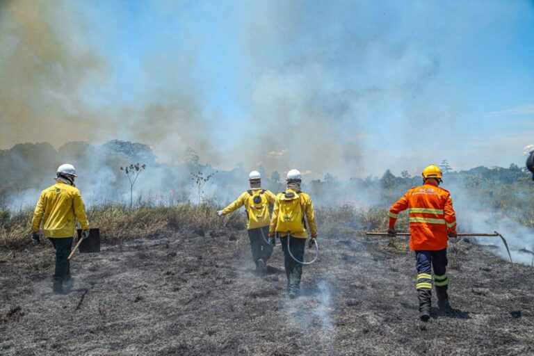 Candidatos a brigadistas do Acre convocados para TAF e Teste de Habilidades Agrícolas 2026.