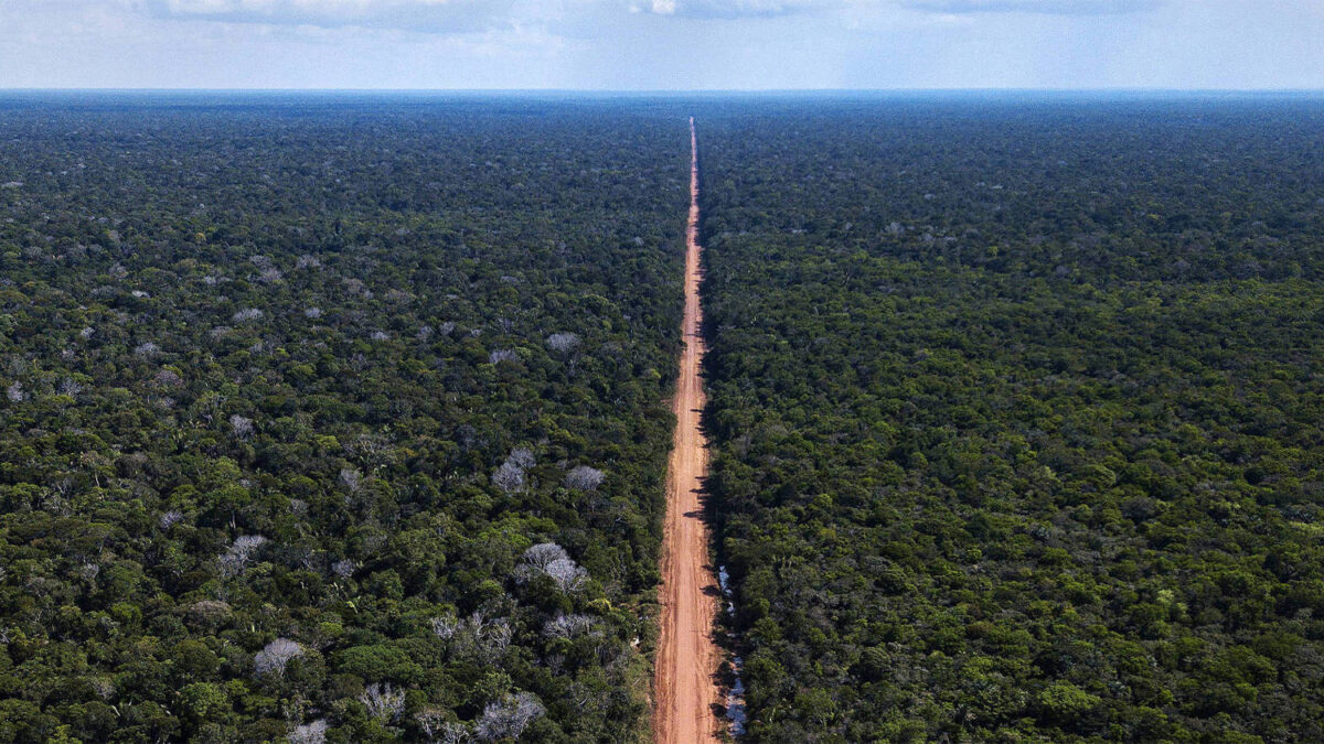 TRF1 derruba decisão da Justiça do Amazonas e libera licitações do Dnit para obras de manutenção na BR-319
