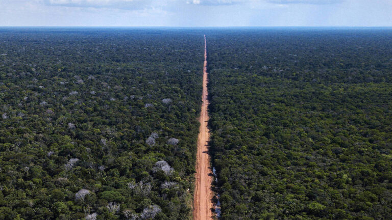 O Tribunal Regional Federal da 1ª Região (TRF1) decidiu suspender a liminar que havia travado os processos de licitação para obras na BR-319. A decisão foi tomada nesta terça-feira (28) e permite que o Departamento Nacional de Infraestrutura de Transportes (Dnit) retome os pregões para serviços de manutenção na rodovia.