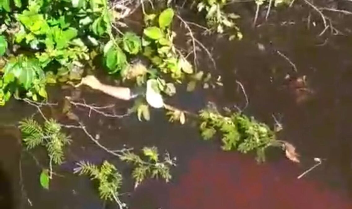 VÍDEO: Chacina em área rural deixa três mortos e dois suspeitos presos no interior do Amazonas