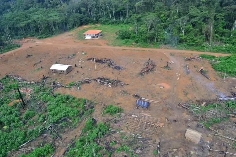 conflitos socioambientais no Acre ligados ao desmatamento e queimadas na Amazônia.