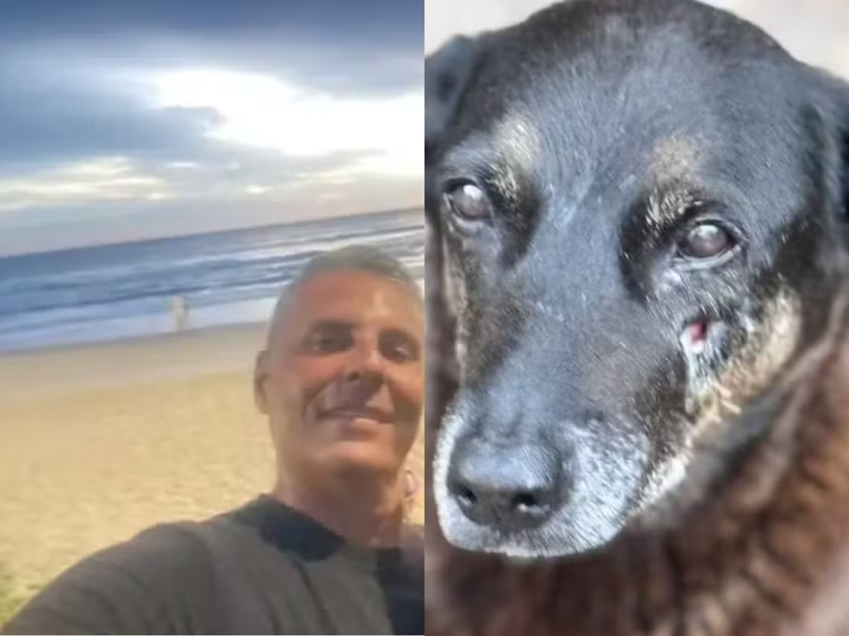 Empresário investigado por coação em caso do cão “Orelha” morre após infarto em Santa Catarina