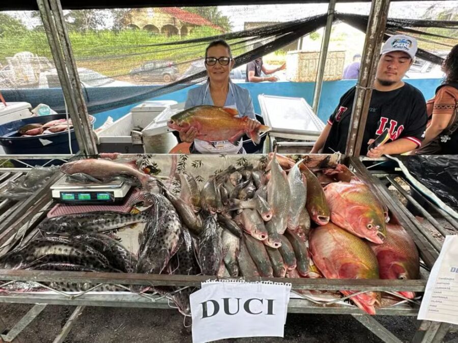 Feira do Peixe impulsiona vendas e destaca produção local