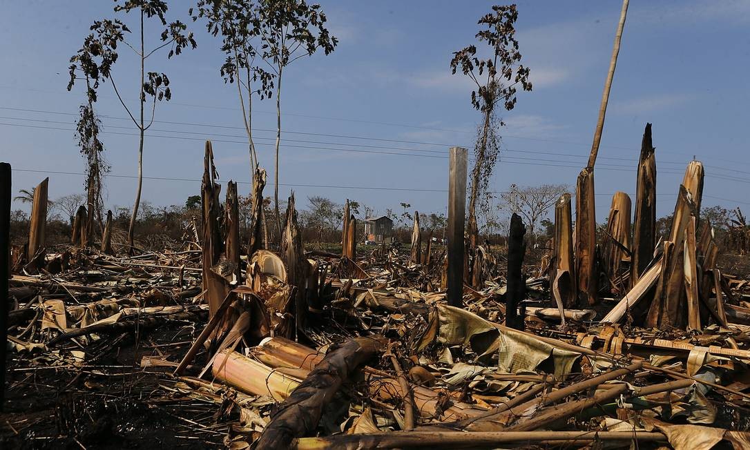 Acre registra queda de 90% nas queimadas no início de 2026, aponta INPE