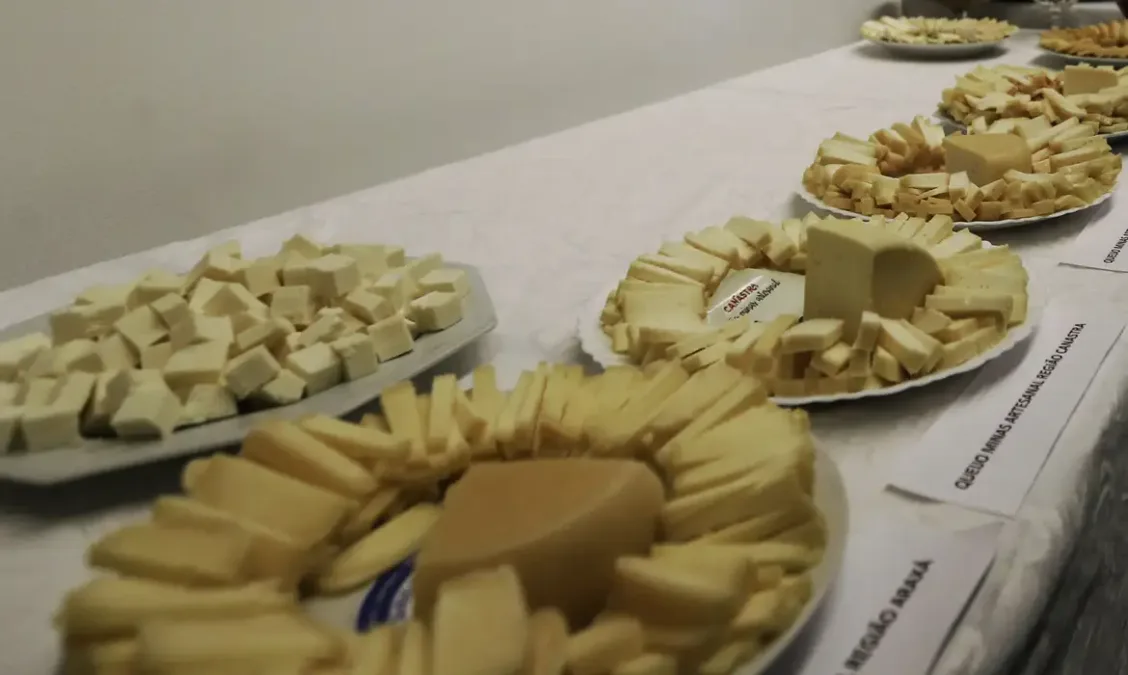Brasil começa a importar queijo mais barato após acordo Mercosul–UE; veja o que muda