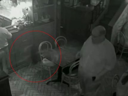 ed-motta-protagoniza-briga-em-restaurante,-arremessa-cadeira-e-caso-para-na-policia