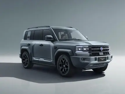 denza,-da-byd,-cresce-no-brasil-e-ameaca-gigantes-do-luxo-com-novo-fenomeno