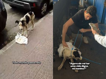 cachorro-abandonado-desde-o-nascimento-e-resgatado-apos-ser-ignorado-por-dezenas-de-pessoas